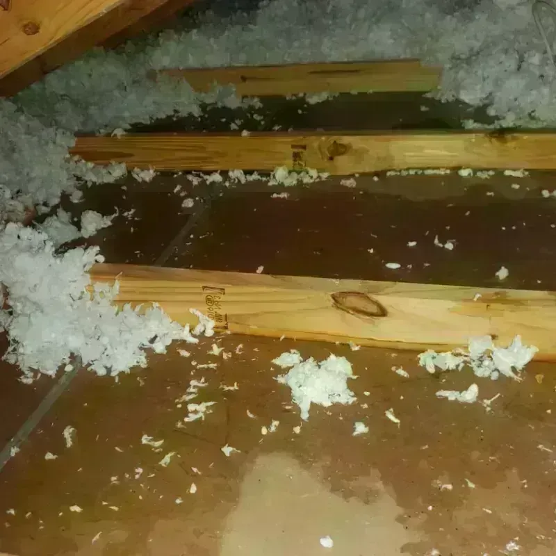 Attic Water Damage in Blount County, AL